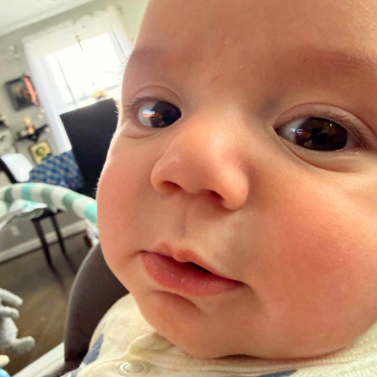 Thor joined the competition — help win amazing prizes! baby, cheeks, child, close_up, comfortable, curious, cute, expression, eyes, face, furniture, home, indoors, infant, mouth, person, portrait, soft_skin, toys, young_child