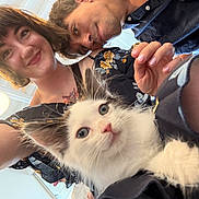 Arya is registered to the contest to win money with this photo: woman, man, kitten, cat, indoor, selfie, smile, face, pet, cute, young_adult, casual_clothing, short_hair, black_and_white_cat, light_fixture, hand, tattoo, ceiling, happy, closeup