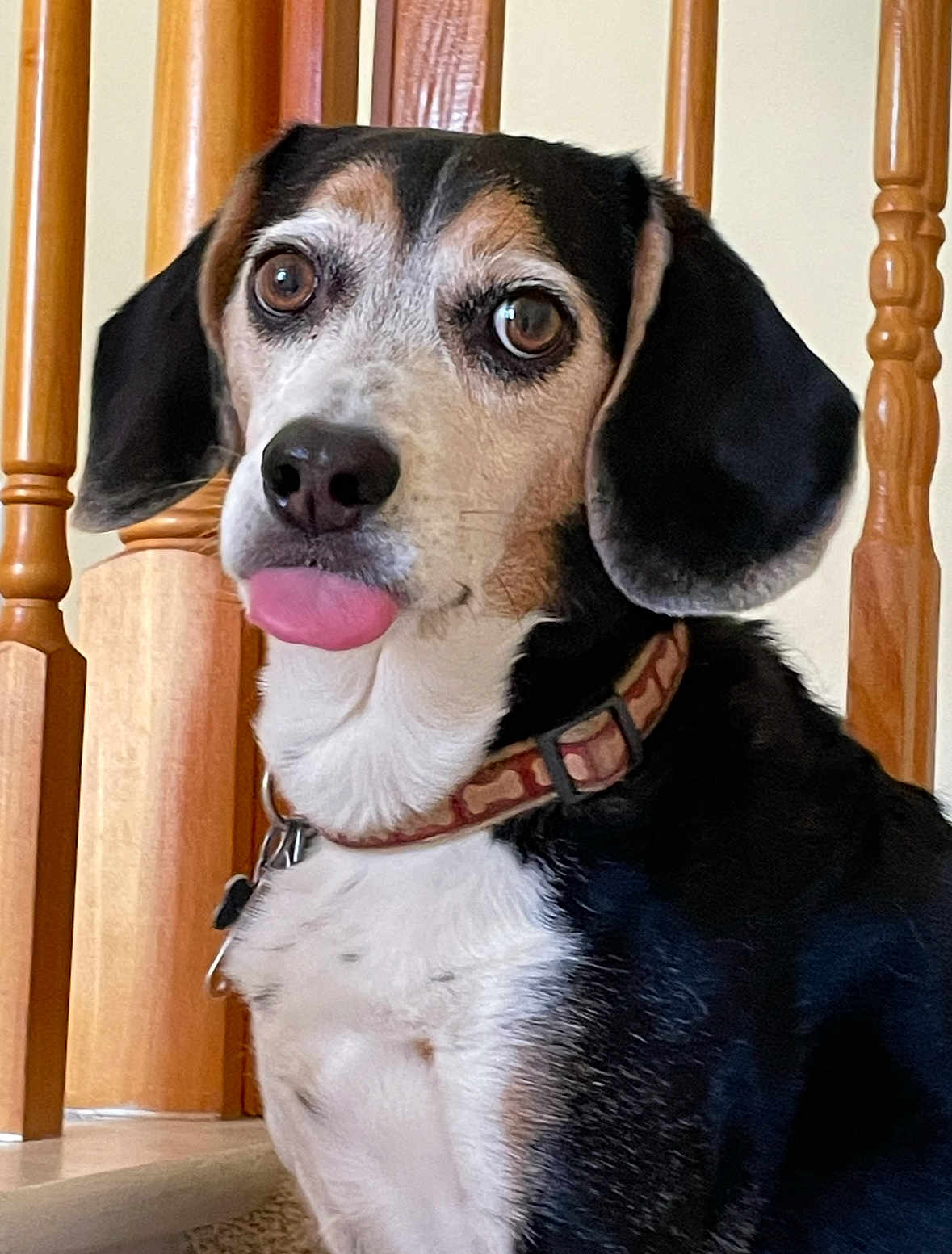 Oliver