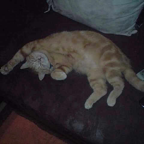 Caramel