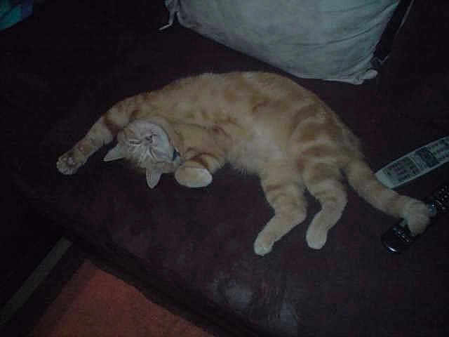 Caramel