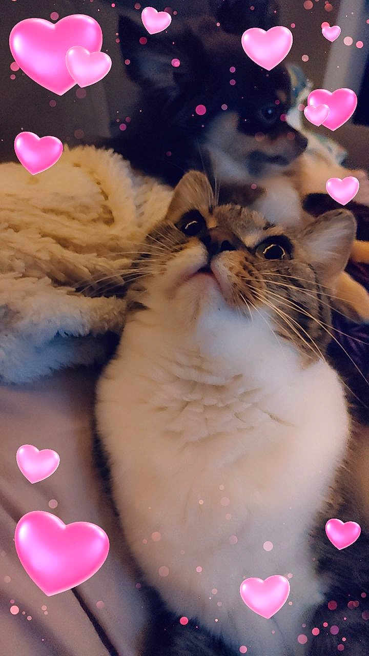 Baby