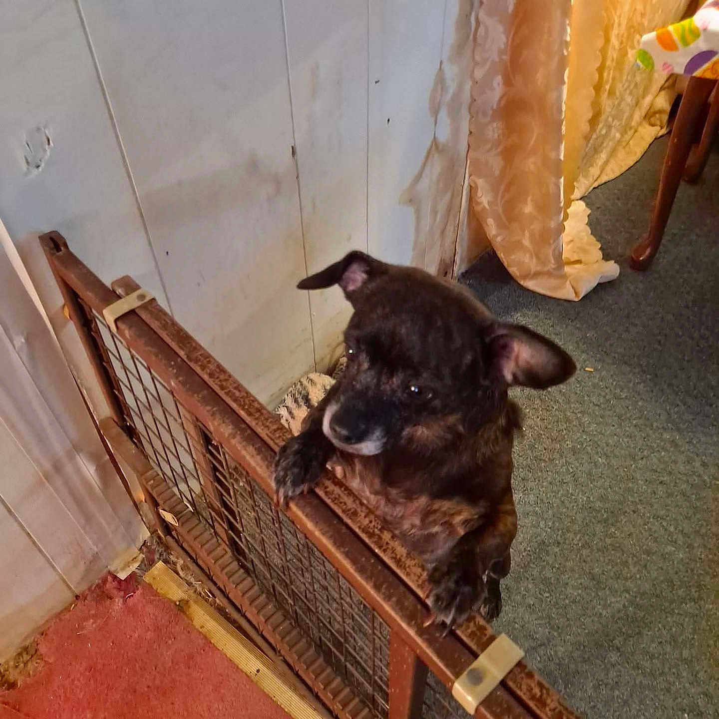 Maggie