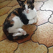 Mia a rejoint le concours — aidez-le/la à gagner de superbes lots !