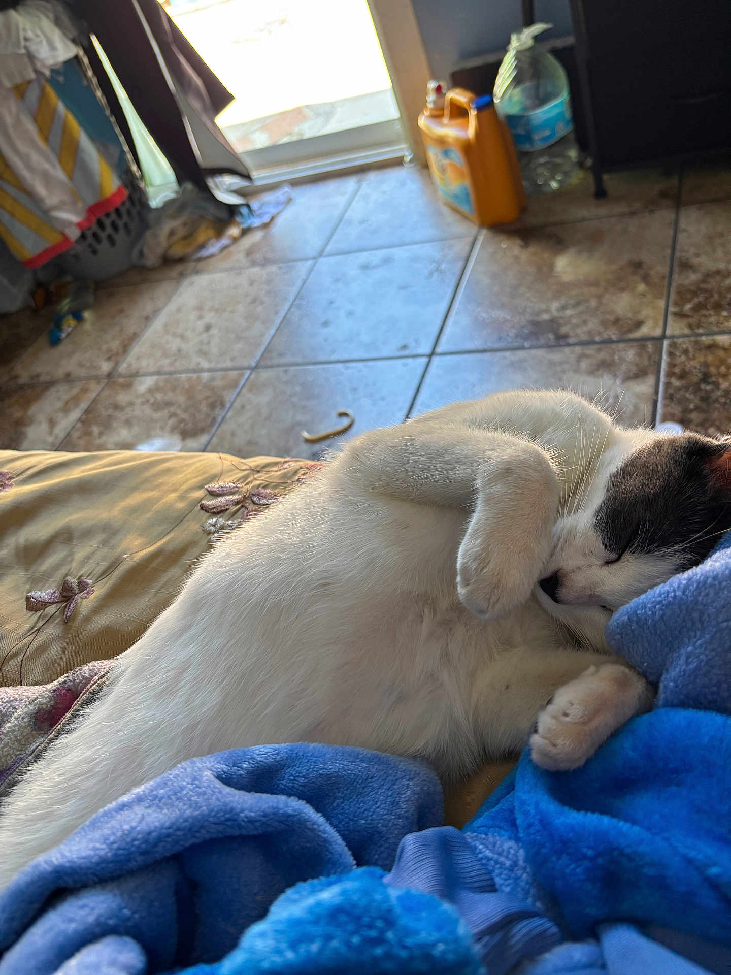 Minnie