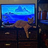 cat, ginger_cat, feline, pet, animal, lying_down, relaxed, orange_fur, striped_fur, green_eyes, whiskers, tail, paws, indoor, living_room, television, screen, entertainment_center, wicker_storage, jars