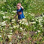 Wesley joined the competition — help win amazing prizes! child, boy, outdoor, field, wildflowers, greenery, sunlight, nature, blue_tshirt, spiderman, shorts, grass, plants, summer, daylight, exploring, casual_clothing, young_child, sun_protection, adventure