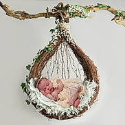 Lara participe au concours pour gagner de l'argent avec cette photo : baby, newborn, sleeping, hanging_nest, twigs, flowers, ivy, blanket, headband, soft_fabric, child, cute, peaceful, portrait, studio, decorative, nature_inspired, innocence, resting, delicate