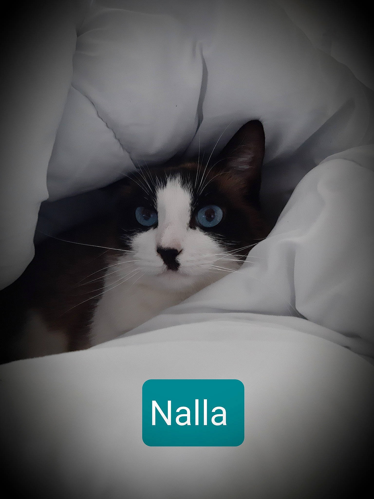 Nalla