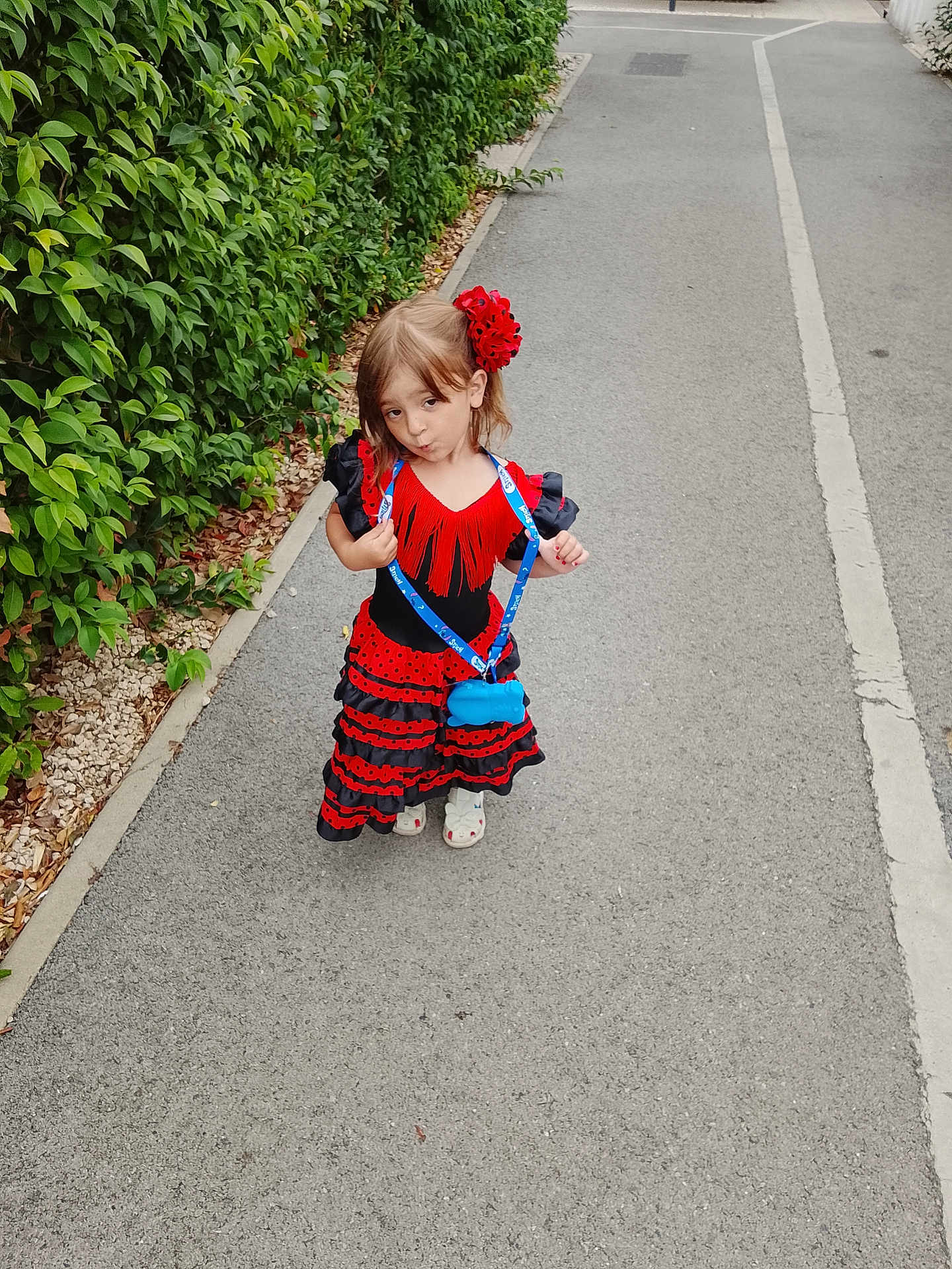 Ilona participe au concours pour gagner de l'argent avec cette photo : child, girl, dress, red, black, flower, hair_accessory, playful, outdoor, path, greenery, bushes, pavement, footwear, posing, young, fashion, accessory, smile, casual