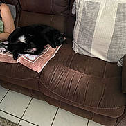 Leo is registered to the contest to win money with this photo: cat, black_cat, couch, brown_couch, towel, striped_pillow, tile_floor, rug, person, arm, relaxing, indoor, nap, sleeping_cat, furniture, cozy, home, resting, domestic, comfort