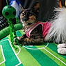 cat, calico_cat, pet, pink_clothing, toy, soccer_ball, play_mat, feathers, indoor, animal, cute, curious, relaxed, feline, collar, green, black_background, hanging_toys, white_paws, closeup