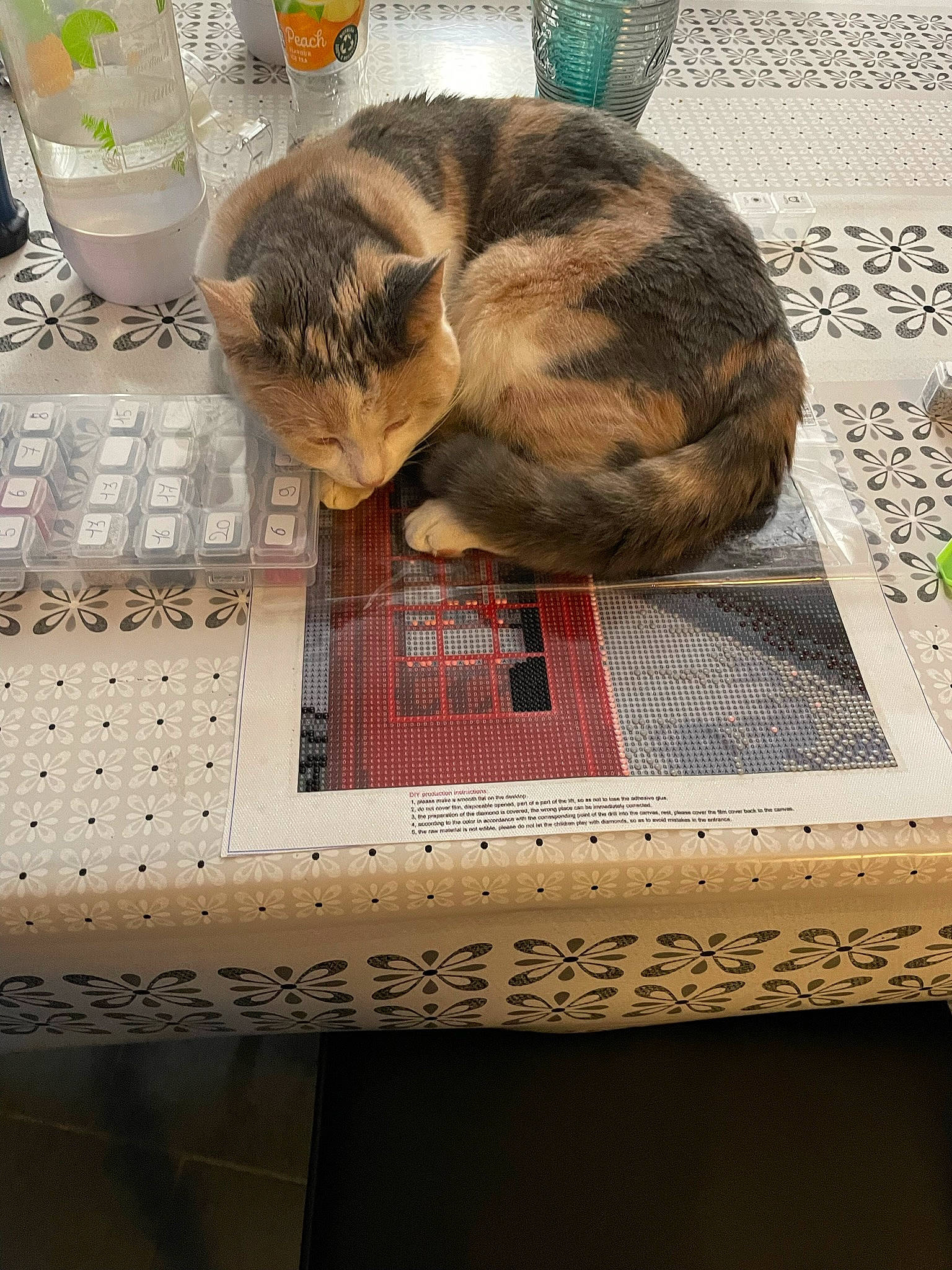 Twixy participe au concours pour gagner de l'argent avec cette photo : carnivore, cat, comfort, domestic_short_haired_cat, felidae, flooring, fur, linens, nap, pattern, pet_supply, rectangle, small_to_medium_sized_cats, snout, table, tablecloth, tableware, tail, whiskers, wood