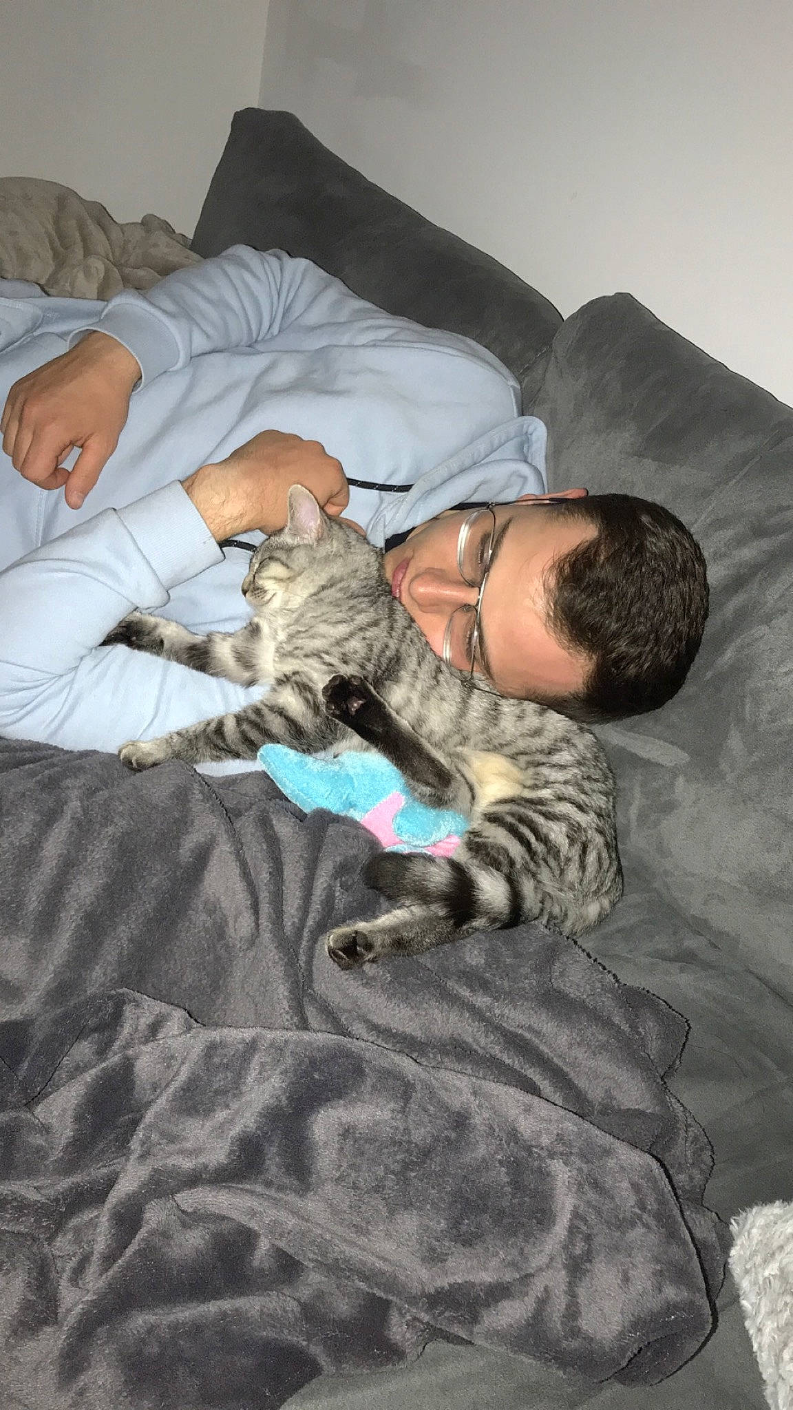 Cannabis a rejoint le concours — aidez-le/la à gagner de superbes lots ! bed, bed_sheet, bedding, bedroom, bedtime, carnivore, cat, child, comfort, duvet, felidae, fur, linens, military_camouflage, nap, room, sleep, small_to_medium_sized_cats, textile, whiskers