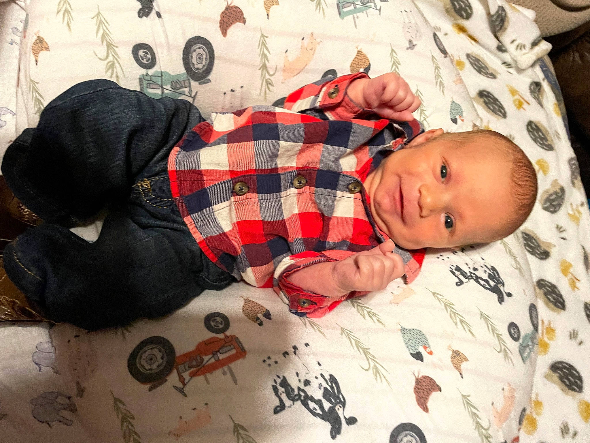 Eli is registered to the contest to win money with this photo: baby, baby_products, baby_safety, baby_toddler_clothing, bedding, bedtime, carmine, child, comfort, linens, nap, pattern, person, plaid, room, sleep, sleeve, tartan, toddler, vertebrate