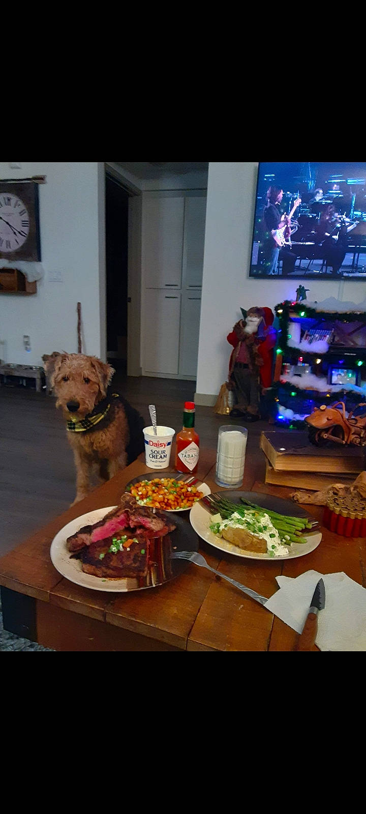 Dixie joined the competition — help win amazing prizes! bowl, carnivore, chair, clock, companion_dog, cuisine, dish, dog, dog_breed, door, food, ingredient, junk_food, plate, platter, recipe, room, table, tableware, television