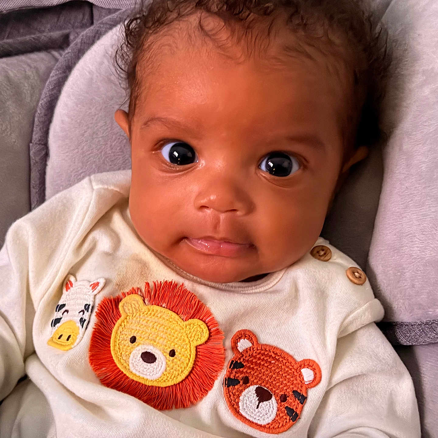 Nasir joined the competition — help win amazing prizes! animal_patches, baby, child, closeup, cozy, curly_hair, cute, expression, hand, indoors, infant, lion_patch, person, portrait, skin, soft_cushion, tiger_patch, white_outfit, wide_eyes, zebra_patch