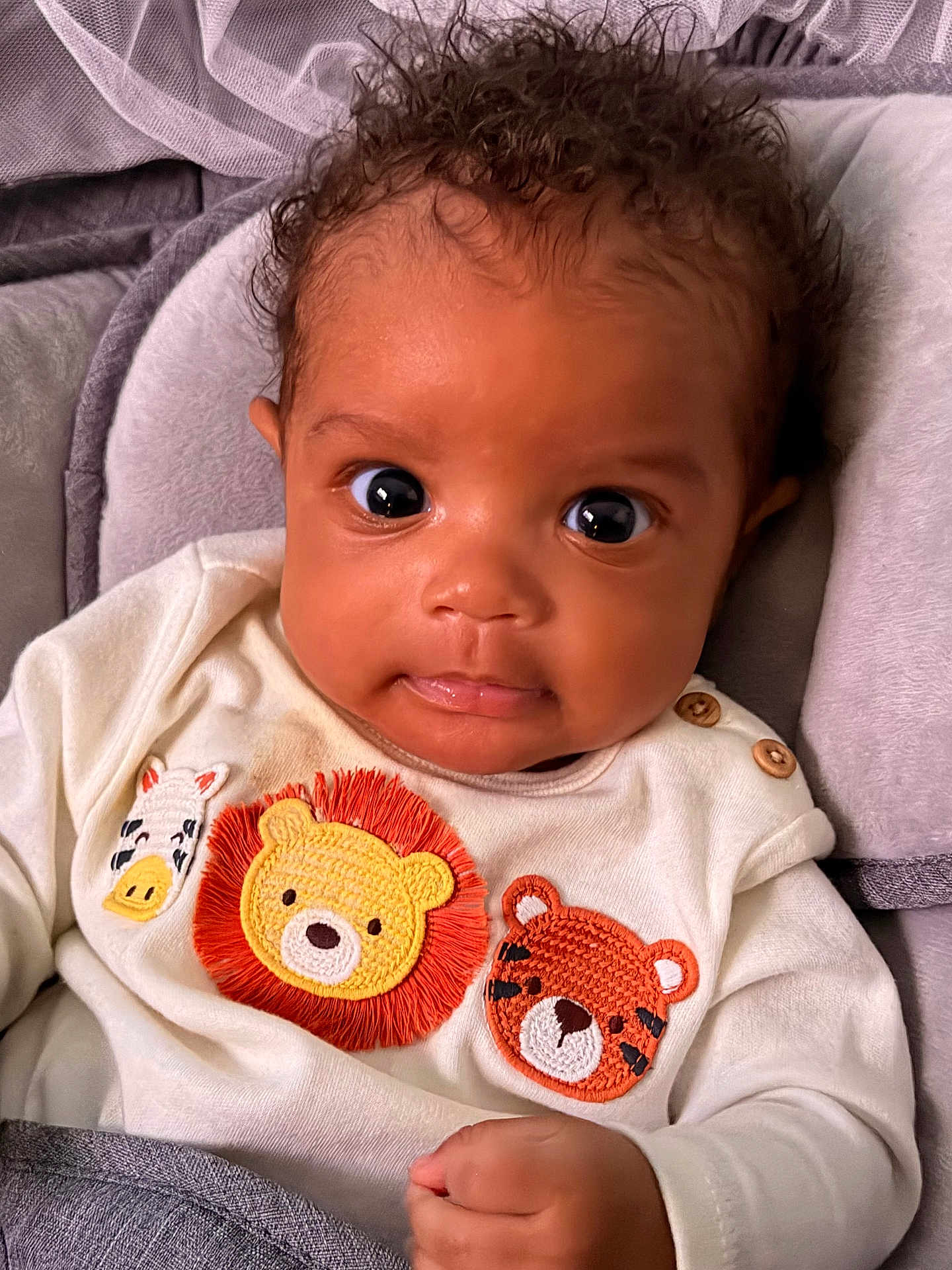 Nasir joined the competition — help win amazing prizes! baby, infant, curly_hair, wide_eyes, cute, white_outfit, animal_patches, lion_patch, tiger_patch, zebra_patch, soft_cushion, cozy, indoors, portrait, child, person, closeup, skin, hand, expression