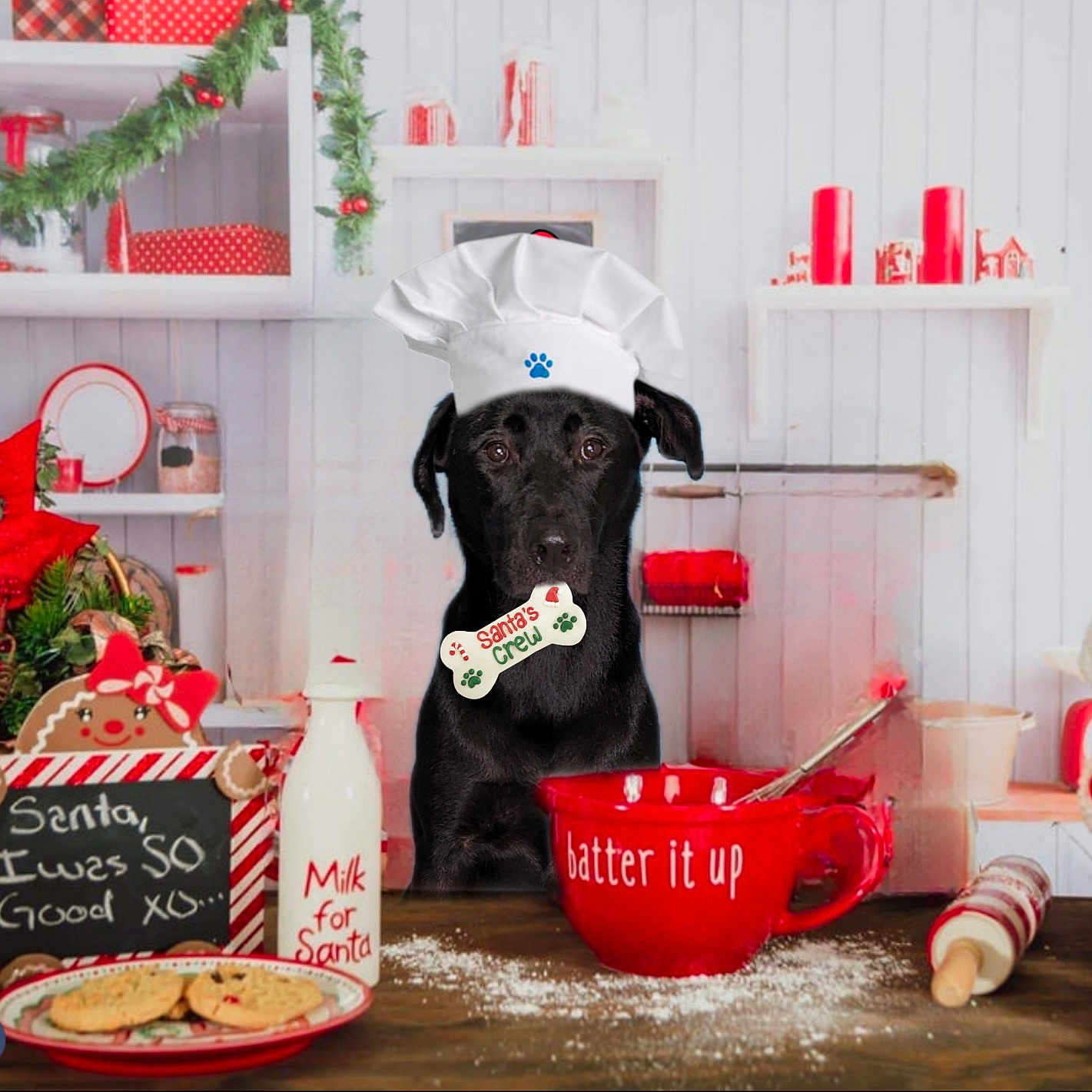 Avi joined the competition — help win amazing prizes! carmine, christmas, christmas_decoration, christmas_eve, christmas_ornament, christmas_stocking, event, font, holiday, interior_design, orange, ornament, party_supply, red, room, shelving, stuffed_toy, tableware, textile, toy