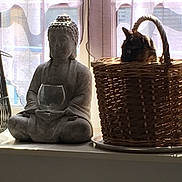 Odyssee a rejoint le concours — aidez-le/la à gagner de superbes lots ! animal, basket, black_cat, buddha, cat, cozy, curtains, home_decor, indoor, meditation, peaceful, pet, portrait, sitting, statue, still_life, sunlight, window, windowsill, woven_basket