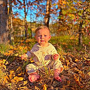 Boston is registered to the contest to win money with this photo: toddler, child, autumn, leaves, barefoot, outdoor, nature, forest, sunlight, fall_colors, grass, trees, baby, sitting, clothing, cute, portrait, seasonal, daylight, young_child