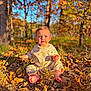 toddler, child, autumn, leaves, barefoot, outdoor, nature, forest, sunlight, fall_colors, grass, trees, baby, sitting, clothing, cute, portrait, seasonal, daylight, young_child