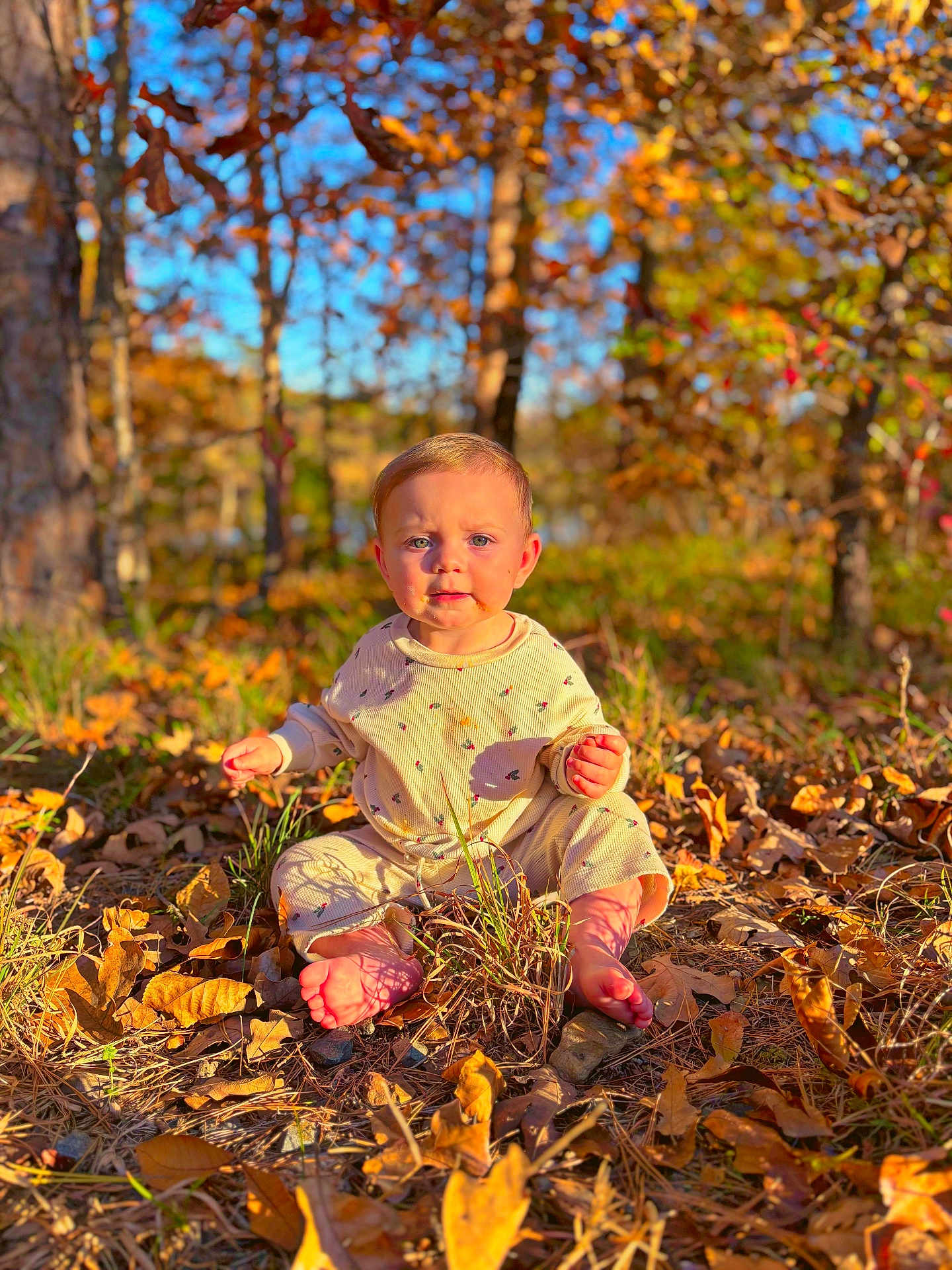 Boston is registered to the contest to win money with this photo: toddler, child, autumn, leaves, barefoot, outdoor, nature, forest, sunlight, fall_colors, grass, trees, baby, sitting, clothing, cute, portrait, seasonal, daylight, young_child