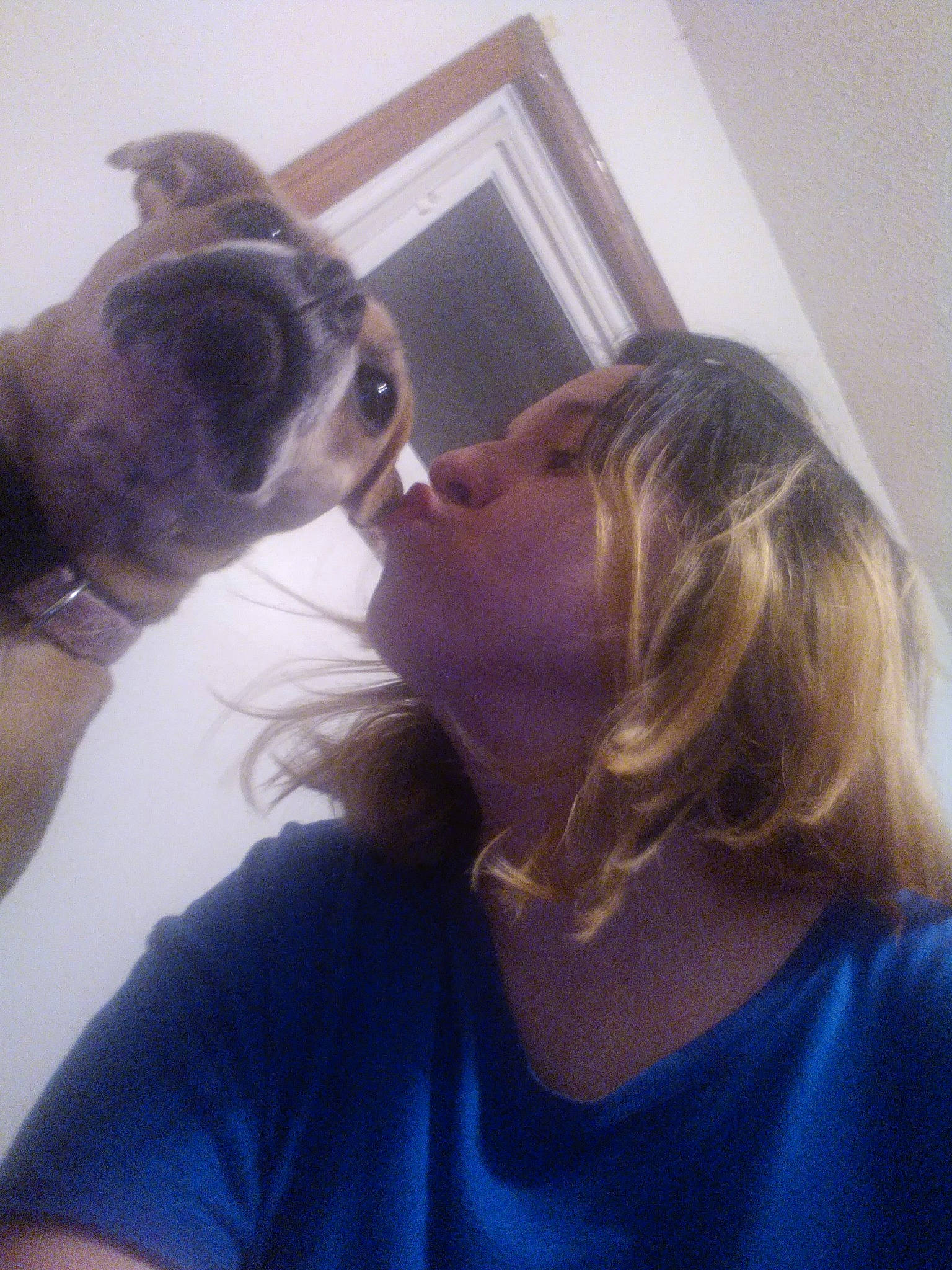 Nala is registered to the contest to win money with this photo: carnivore, companion_dog, dog, dog_breed, ear, eyebrow, eyelash, eyewear, fawn, fun, gesture, happy, jaw, kiss, mouth, neck, nose, shoulder, t_shirt, vision_care