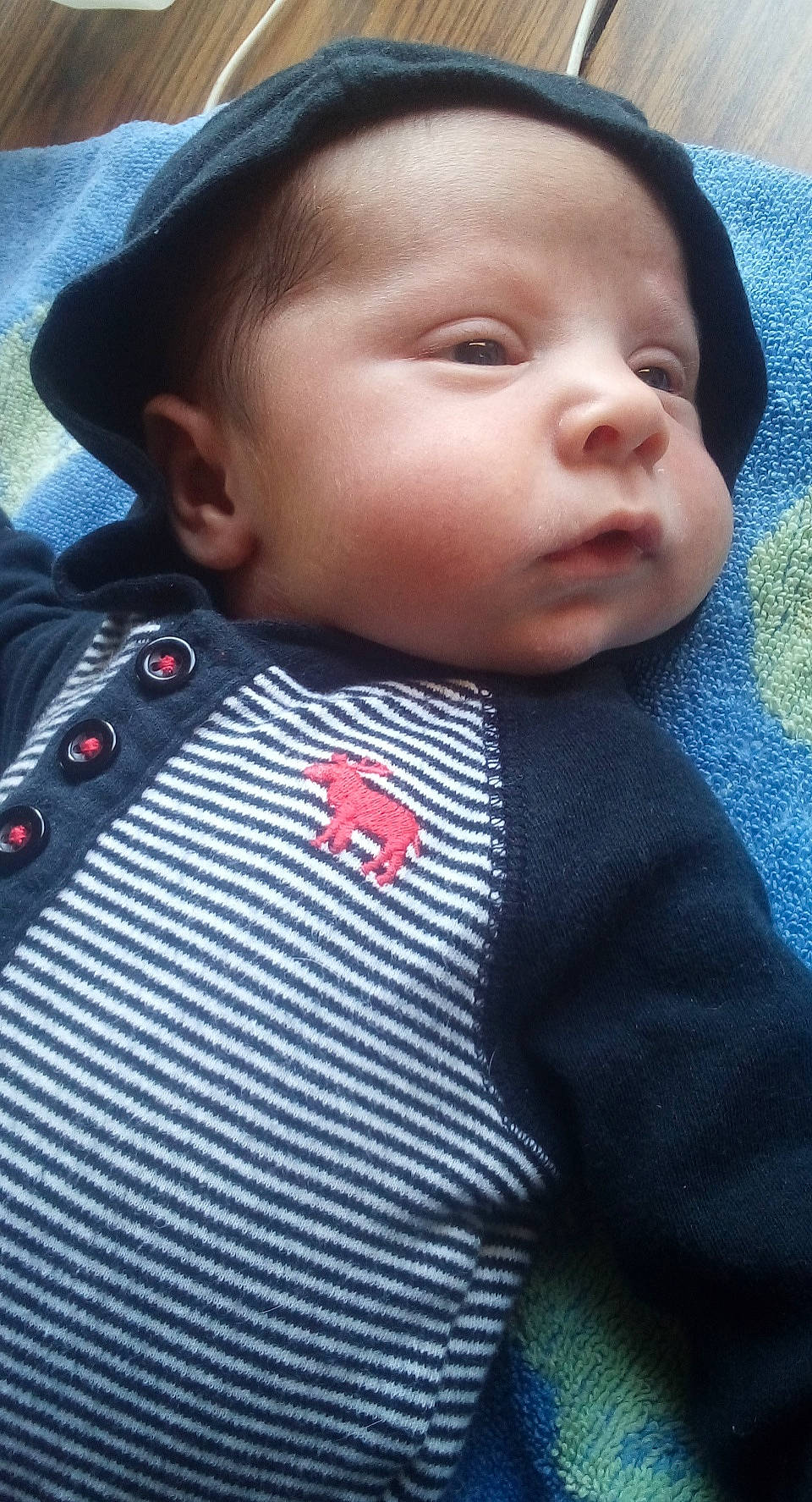 Harlan is registered to the contest to win money with this photo: baby, cheek, child, chin, cool, face, forehead, head, lip, neck, nose, outerwear, person, skin, smile, toddler