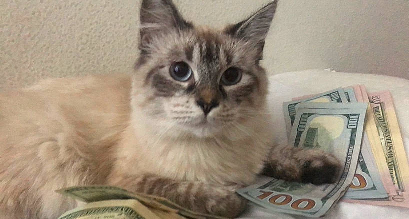 Mochi