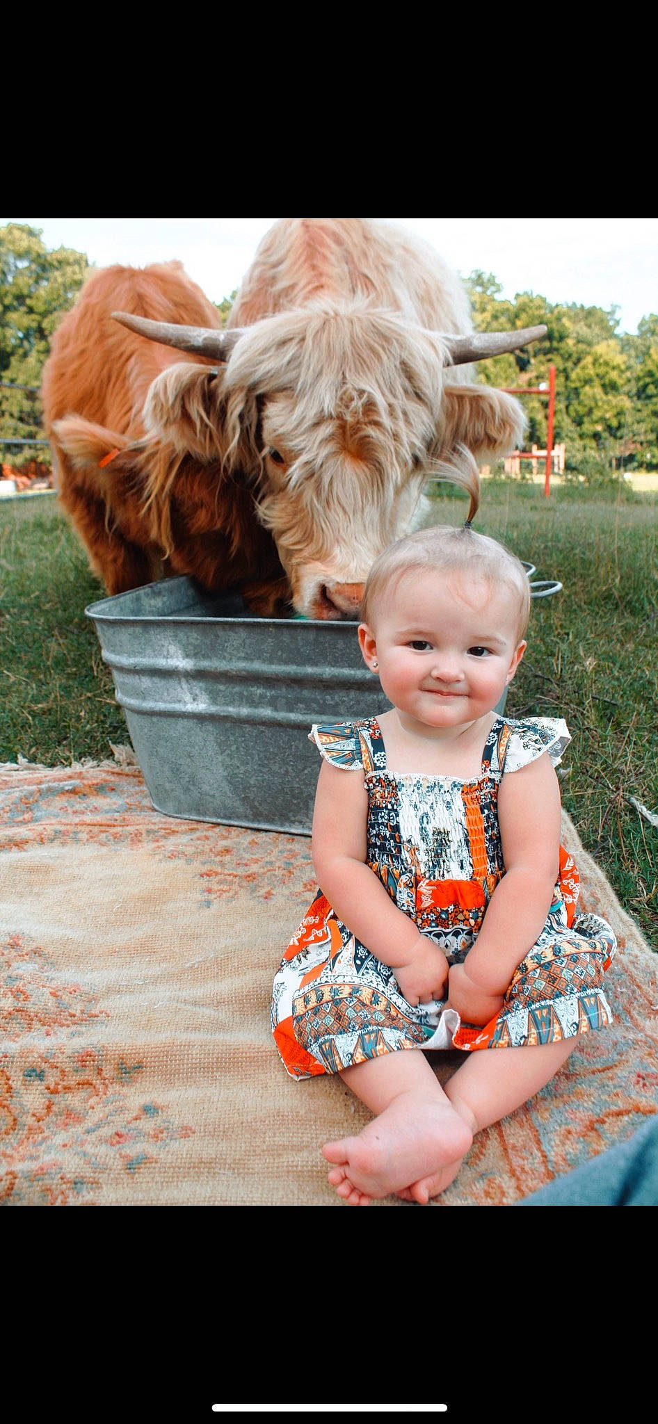 Danni is registered to the contest to win money with this photo: baby_toddler_clothing, carnivore, companion_dog, dog, dog_breed, dress, grass, happy, head, joy, liver, mammal, orange, person, photograph, pink, plant, red, skin, smile