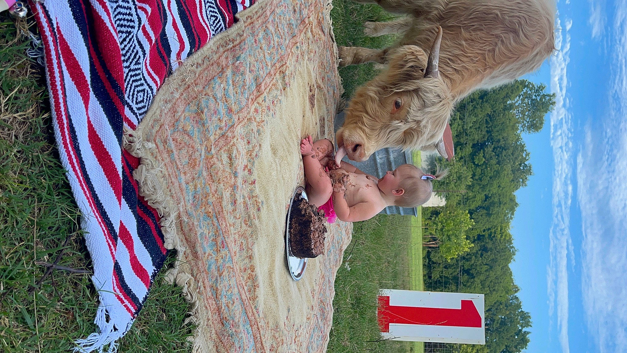 Danni joined the competition — help win amazing prizes! big_cats, event, felidae, flag, flag_day_usa, flag_of_the_united_states, fun, grass, happy, holiday, landscape, leisure, memorial_day, people_in_nature, person, plant, recreation, sky, summer, tree