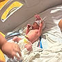 Jaylen joined the competition — help win amazing prizes! newborn, baby, hospital, bassinet, diaper, hat, blanket, onesie, giraffe, hand, infant, bed, sleepwear, striped, person, skin, cute, small, lying, care