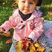 Iréne participe au concours pour gagner de l'argent avec cette photo : child, toddler, blue_eyes, pink_jacket, autumn_leaves, outdoor, grass, blanket, fall, nature, cute, person, seasonal, playful, young_child, fashion, leaves, sitting, curious, daylight