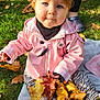 child, toddler, blue_eyes, pink_jacket, autumn_leaves, outdoor, grass, blanket, fall, nature, cute, person, seasonal, playful, young_child, fashion, leaves, sitting, curious, daylight