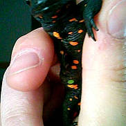 Croco a rejoint le concours — aidez-le/la à gagner de superbes lots !