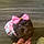 Cocoa