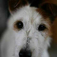 Sky a rejoint le concours — aidez-le/la à gagner de superbes lots !