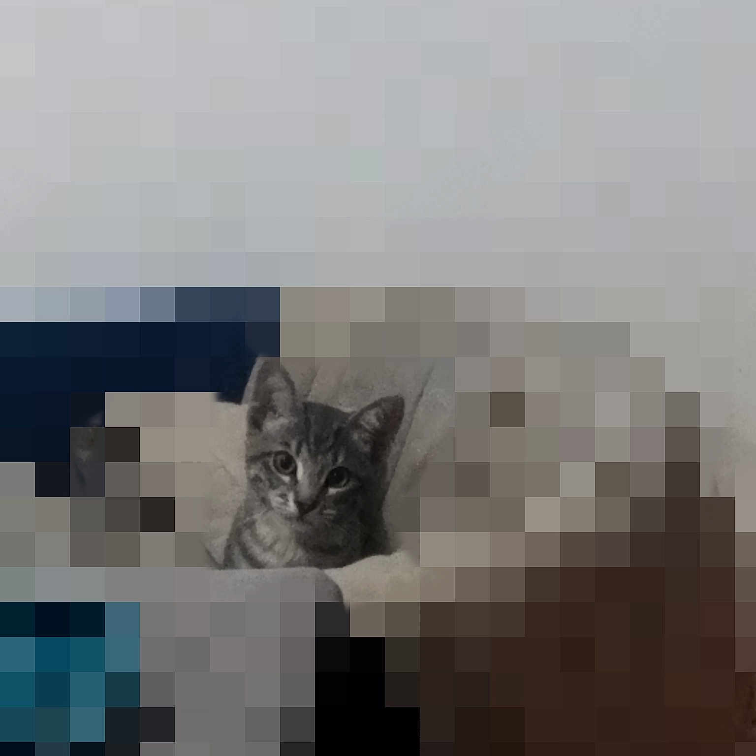 Tigrou