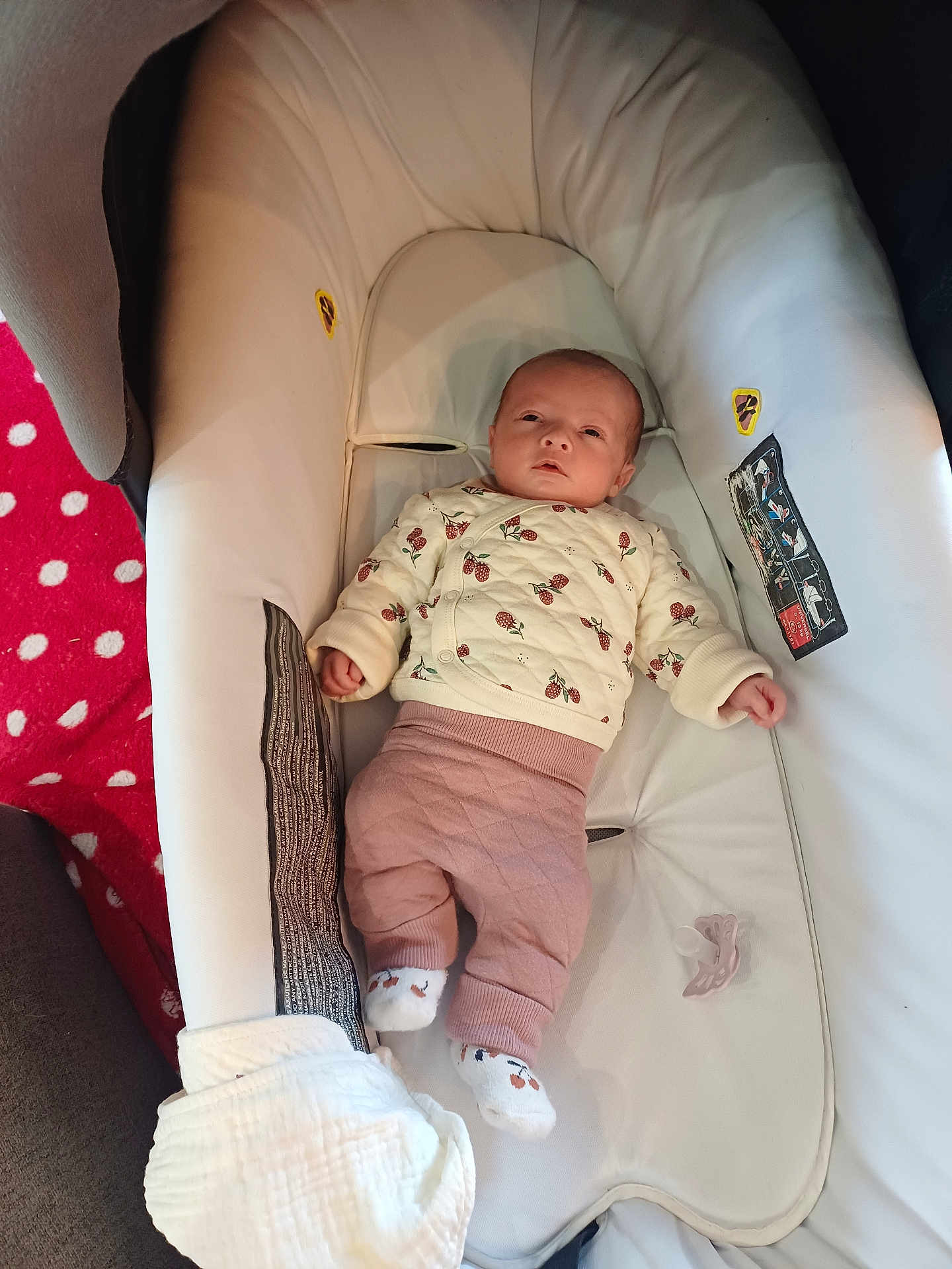 Ruby participe au concours pour gagner de l'argent avec cette photo : baby, infant, bassinet, pajamas, pink_pants, pacifier, white_bassinet, red_carpet, polka_dots, cute, child, newborn, sleeping_area, soft_fabric, indoor, person, small, resting, clothing, cozy