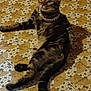 cat, tabby, lying_down, gold_chain, floor, tile_pattern, indoor, pet, relaxed, feline, animal, striped, mammal, domestic, cute, accessory, laid_back, resting, whiskers, ears