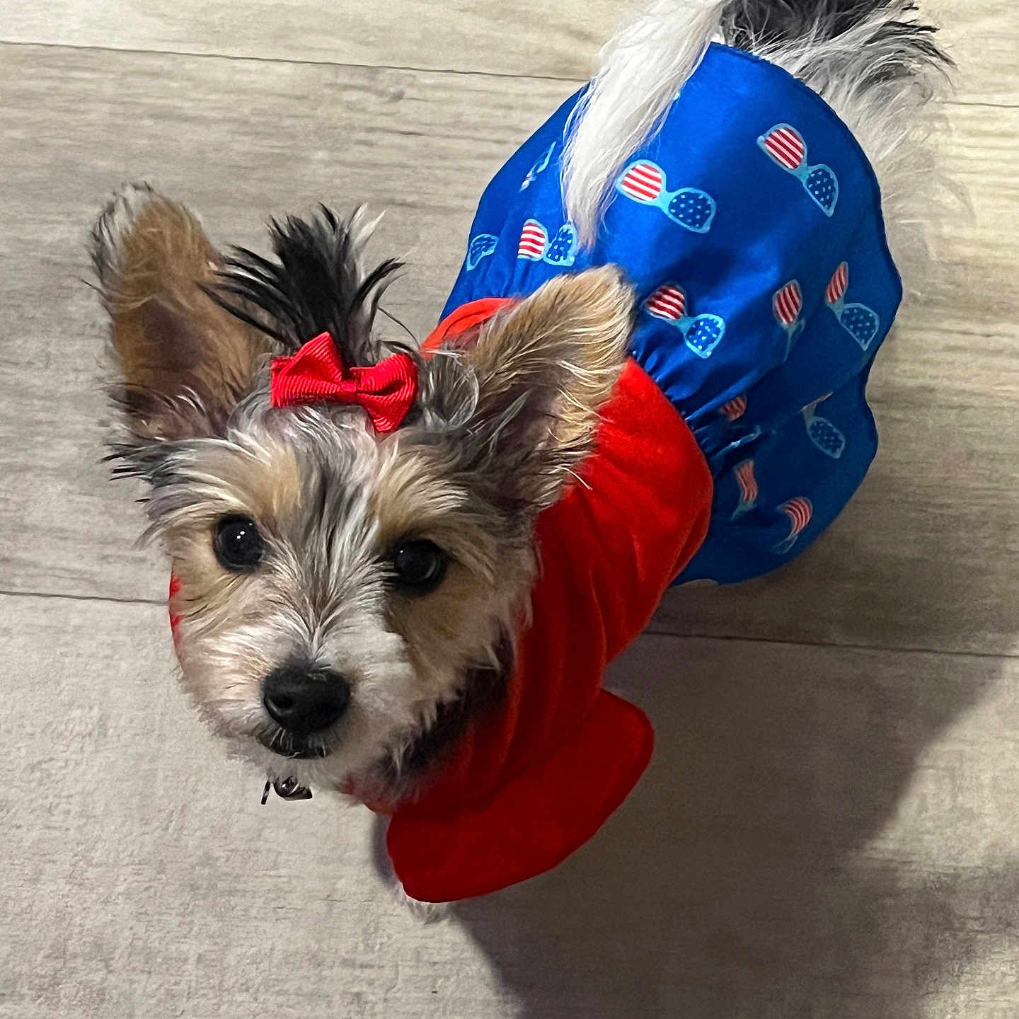 Gracie Rose
