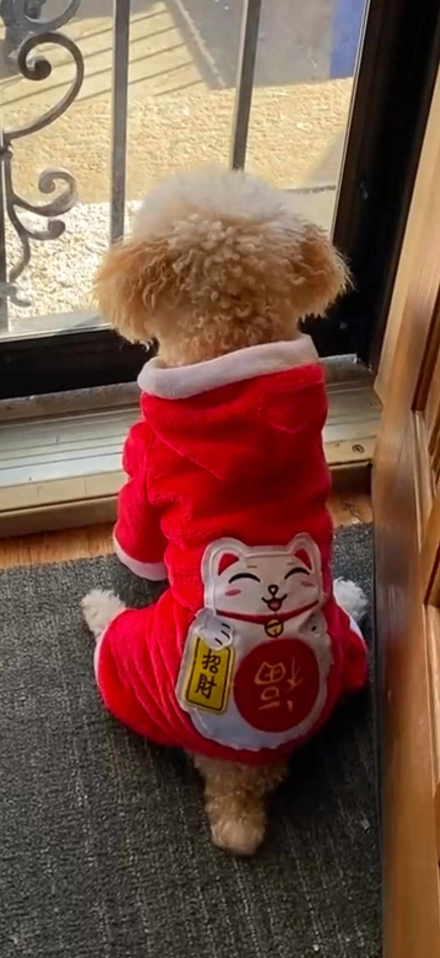 Bobo