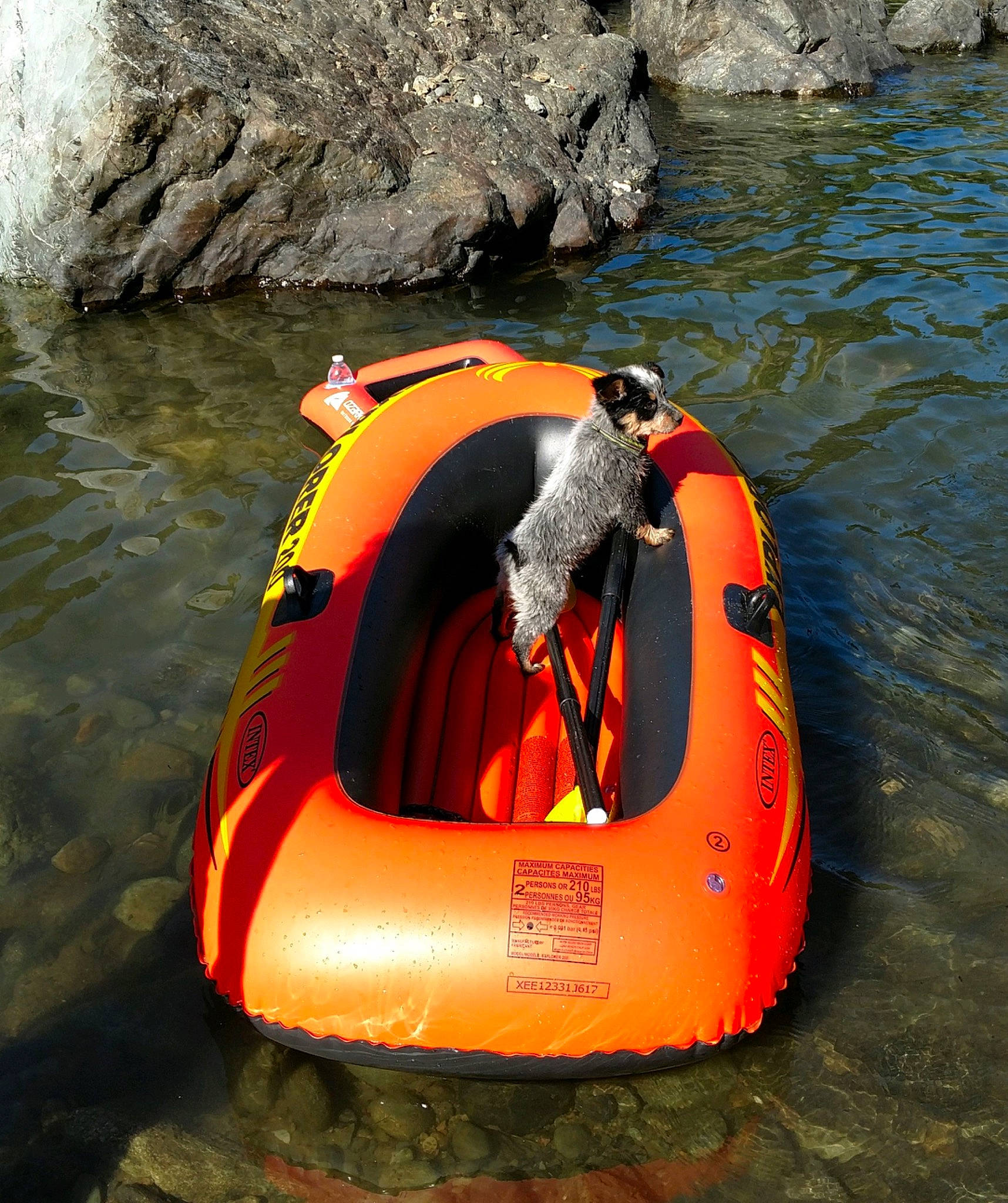 Pip joined the competition — help win amazing prizes! boat, boating, boats_and_boating_equipment_and_supplies, fun, games, inflatable, inflatable_boat, lifejacket, personal_protective_equipment, raft, recreation, vehicle, water_transportation, watercourse, watercraft