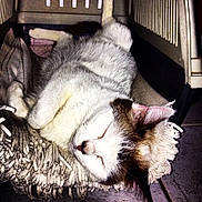 Caskette a rejoint le concours — aidez-le/la à gagner de superbes lots !