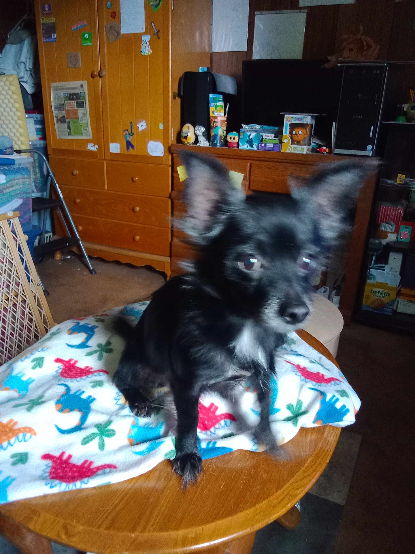 Gizmo