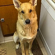 Rooney is registered to the contest to win money with this photo: