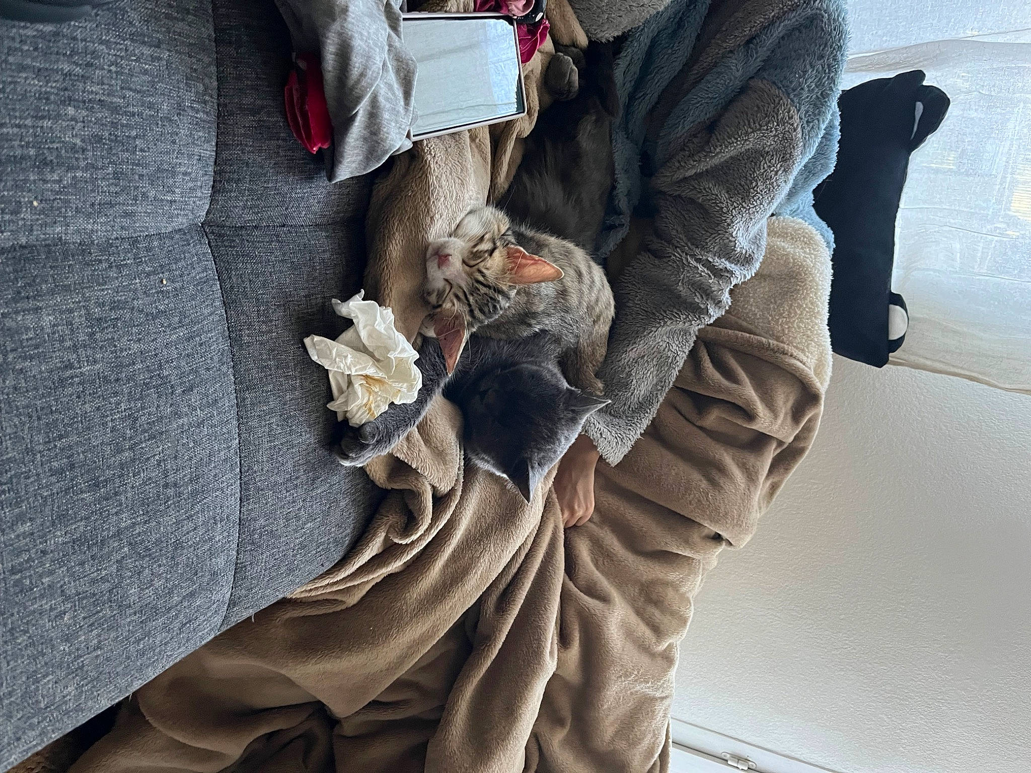 Kiri participe au concours pour gagner de l'argent avec cette photo : art, auto_part, automotive_tire, denim, fur, gesture, grey, human_leg, monument, outerwear, pocket, rock, sculpture, sitting, sleeve, statue, tree, waist, wood