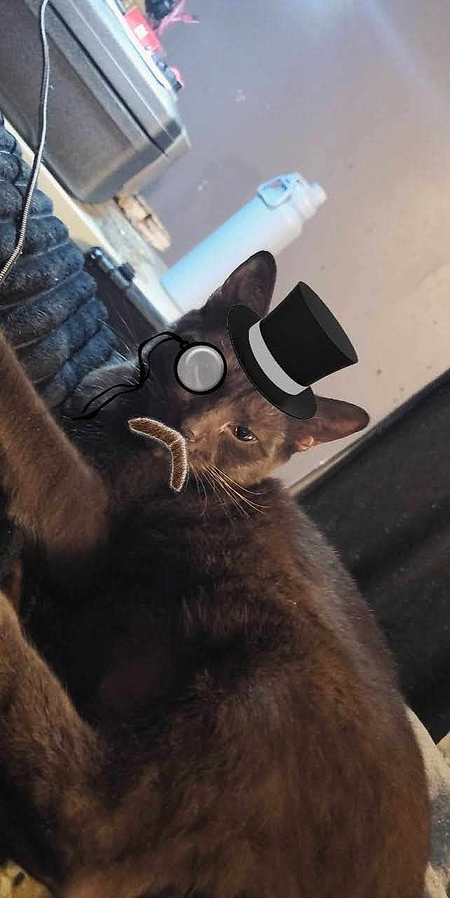 Toby