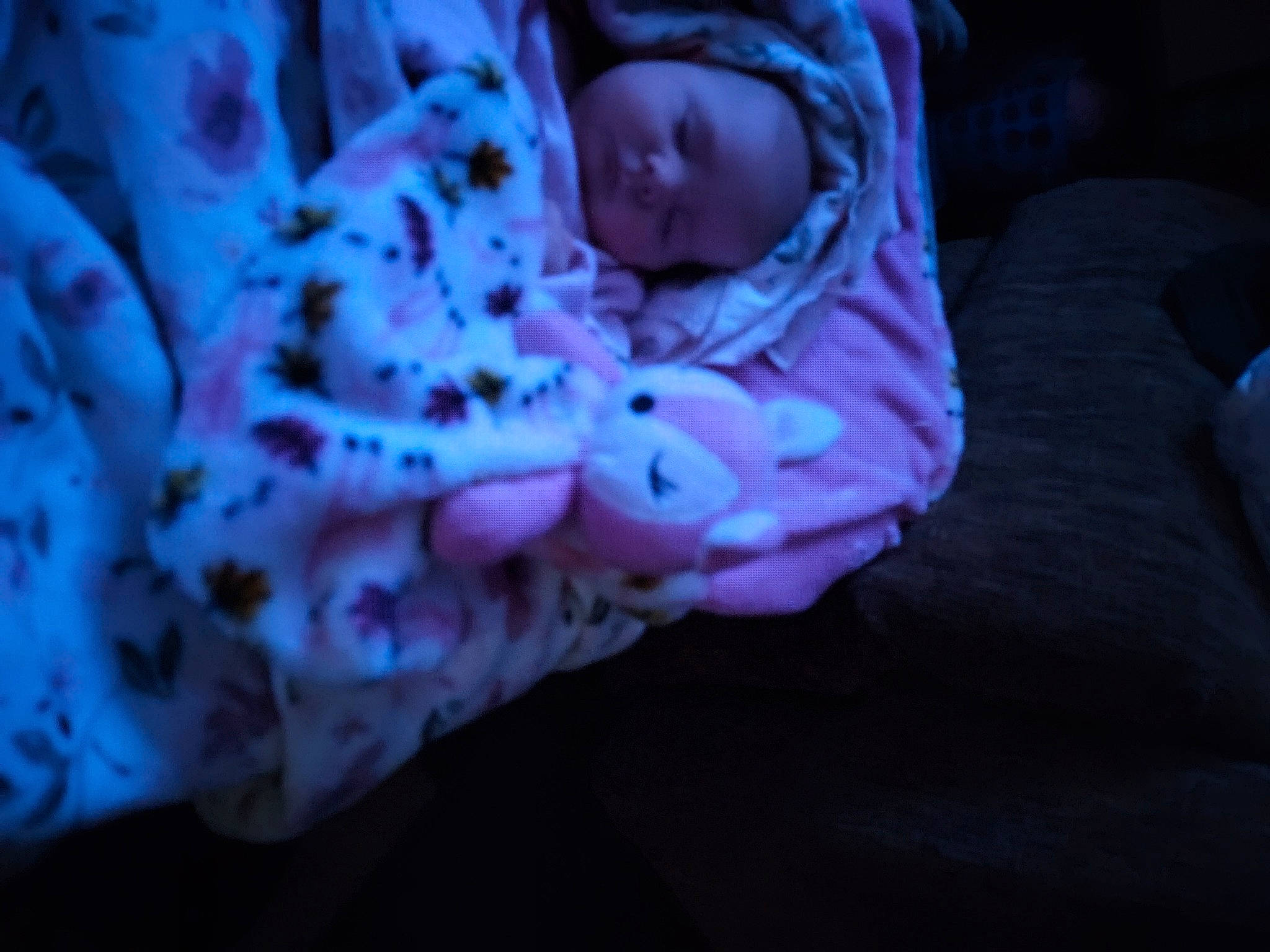 Ruby is registered to the contest to win money with this photo: baby, baby_toddler_clothing, child, comfort, darkness, electric_blue, flesh, fur, grass, linens, macro_photography, magenta, pattern, person, petal, plant, purple, sleeve, toddler, violet